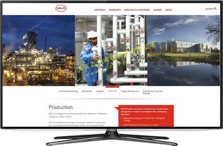 外貿(mào)塑料花廠(chǎng)家如何通過(guò)網(wǎng)站優(yōu)化提升報(bào)價(jià)競(jìng)爭(zhēng)力